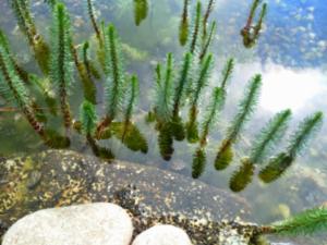 10313641 821109227942558 5593151343247917180 n