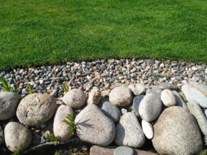 11011002 821109601275854 7008339479787919169 n