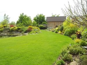 254172 496832460370238 1075678522 n