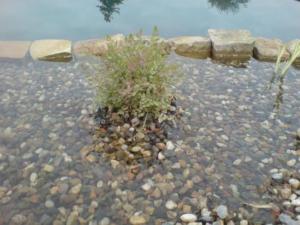 25922 460321650687986 186721784 n