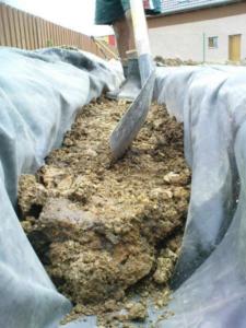 282753 461488303904654 550338727 n