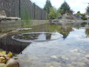 529730 460321564021328 1892047515 n