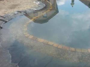 557954 460321544021330 336302474 n