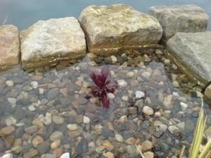 563428 460321587354659 1906180395 n