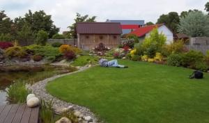 6317 501605046559646 1738279697 n