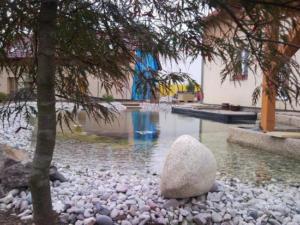 65582 461488793904605 2076434599 n