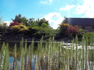 7076 502577543129063 1309715176 n