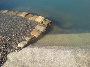 734665 460321444021340 787285223 n