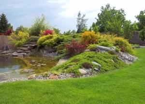 922973 496832457036905 1300395028 n