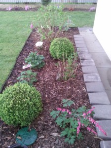 JEDNODUCHÁ ÚPRAVA MALÉ ZAHRADY