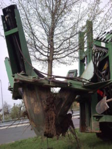 PRESAZOVANI-STROMU large2