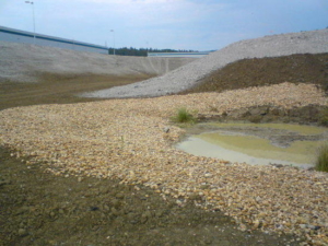 vyuziti-prirodni-deprese-pro-vytvoreni-biotopu large2