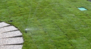 závlahy a travní koberce    